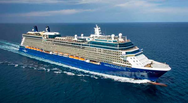 Celebrity Silhouette
