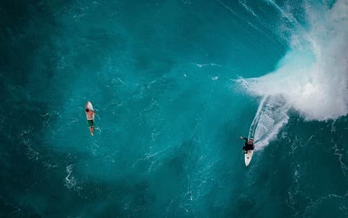 Circle Hawaii